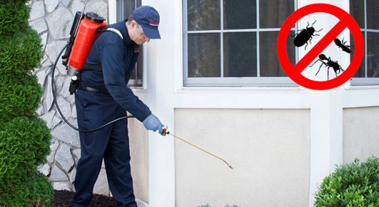 Boyalık Haşere İlaçlama böcek ilaçlama ve haşere kontrolü — ilaclama-tr.com